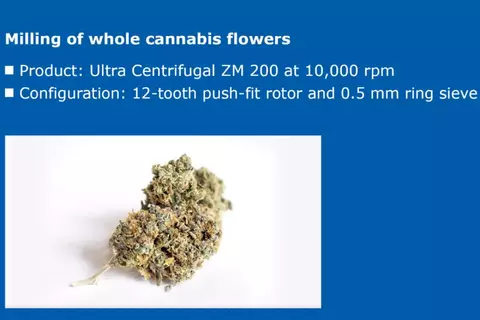 ZM 200 - Grinding of cannabis flowers