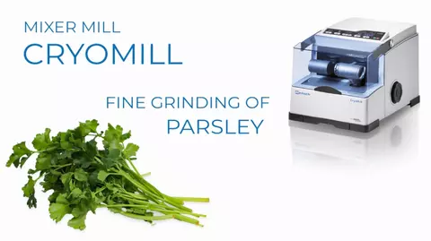 Fine grinding of parsley with Cryomill