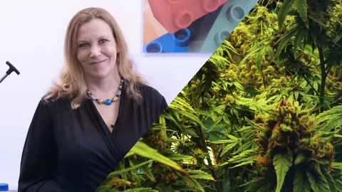Retsch Expert explains Benefits of Cannabis Milling