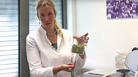 Cannabis: From raw material to end products, from quality control to small scale production