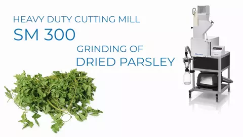 Pre-cutting of dried parsley in Heavy Duty Cutting Mill SM 300