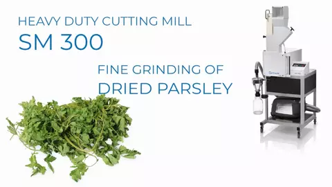 Fine grinding of dried parsley with SM 300